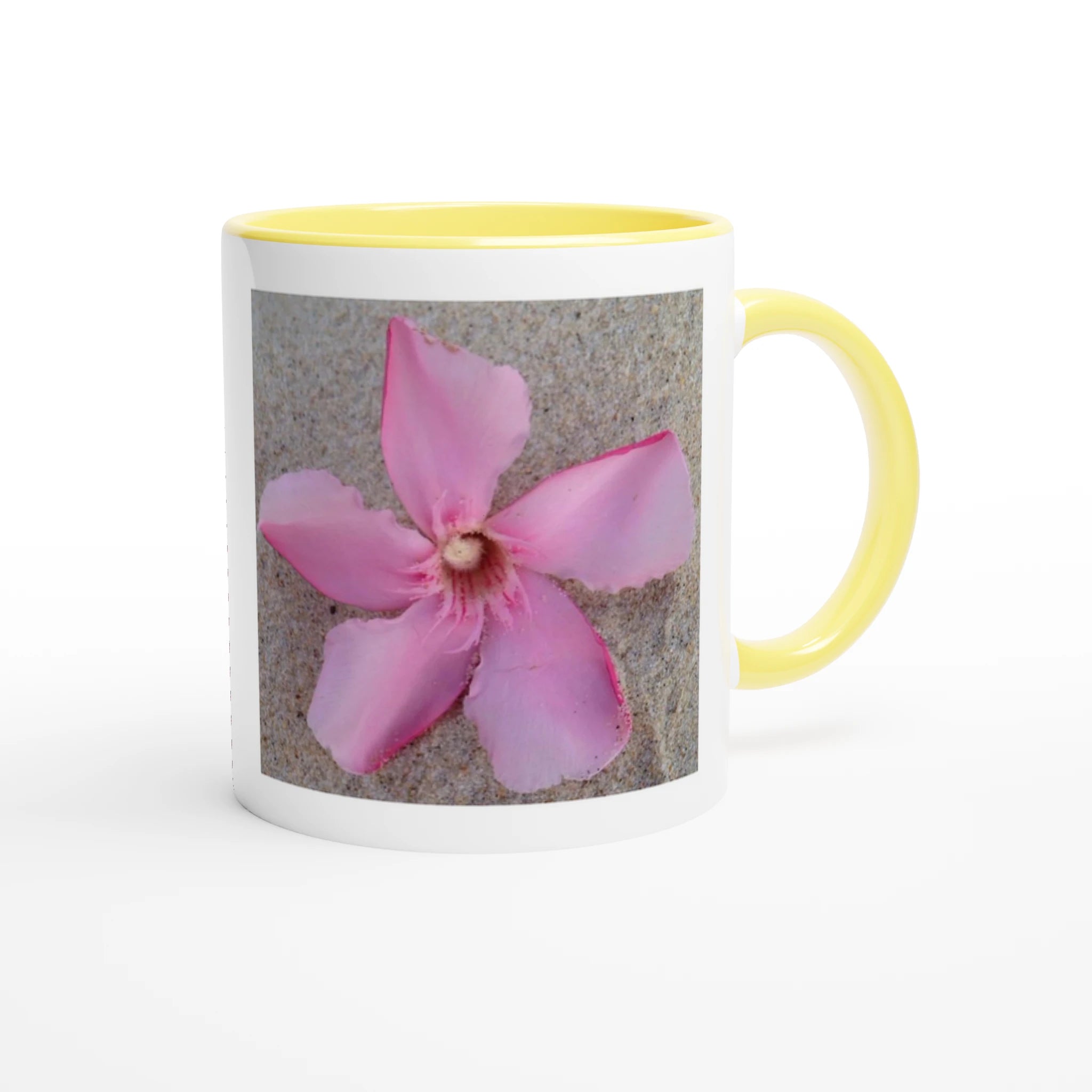 24aa79c8-2d87-45ed-9383-d43a5bb07ac0